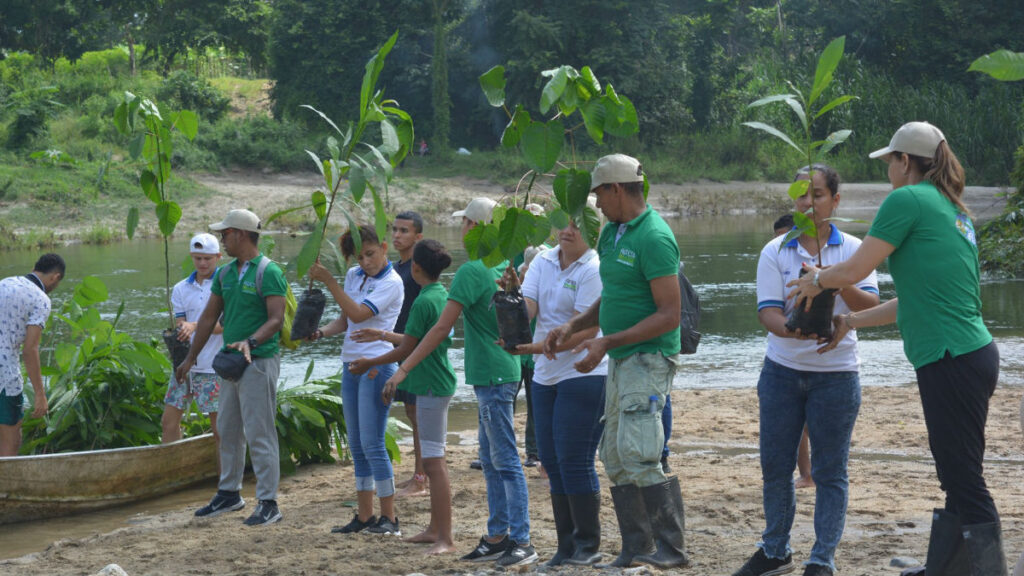 Plantación de árboles nativos en la ronda del río Guachaca para proteger el ecosistema.