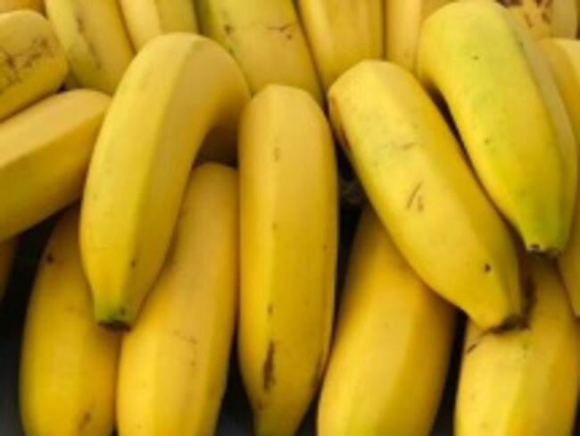 Banasan S.A.S comprando banano de exportación a pequeños productores en Santa Marta para evitar crisis económica y social